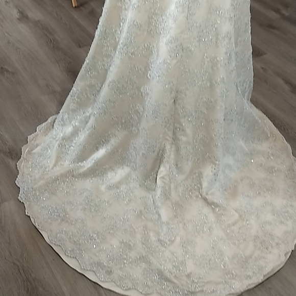 Exquisitely detailed one of a kind gown. - Picture 4 of 12